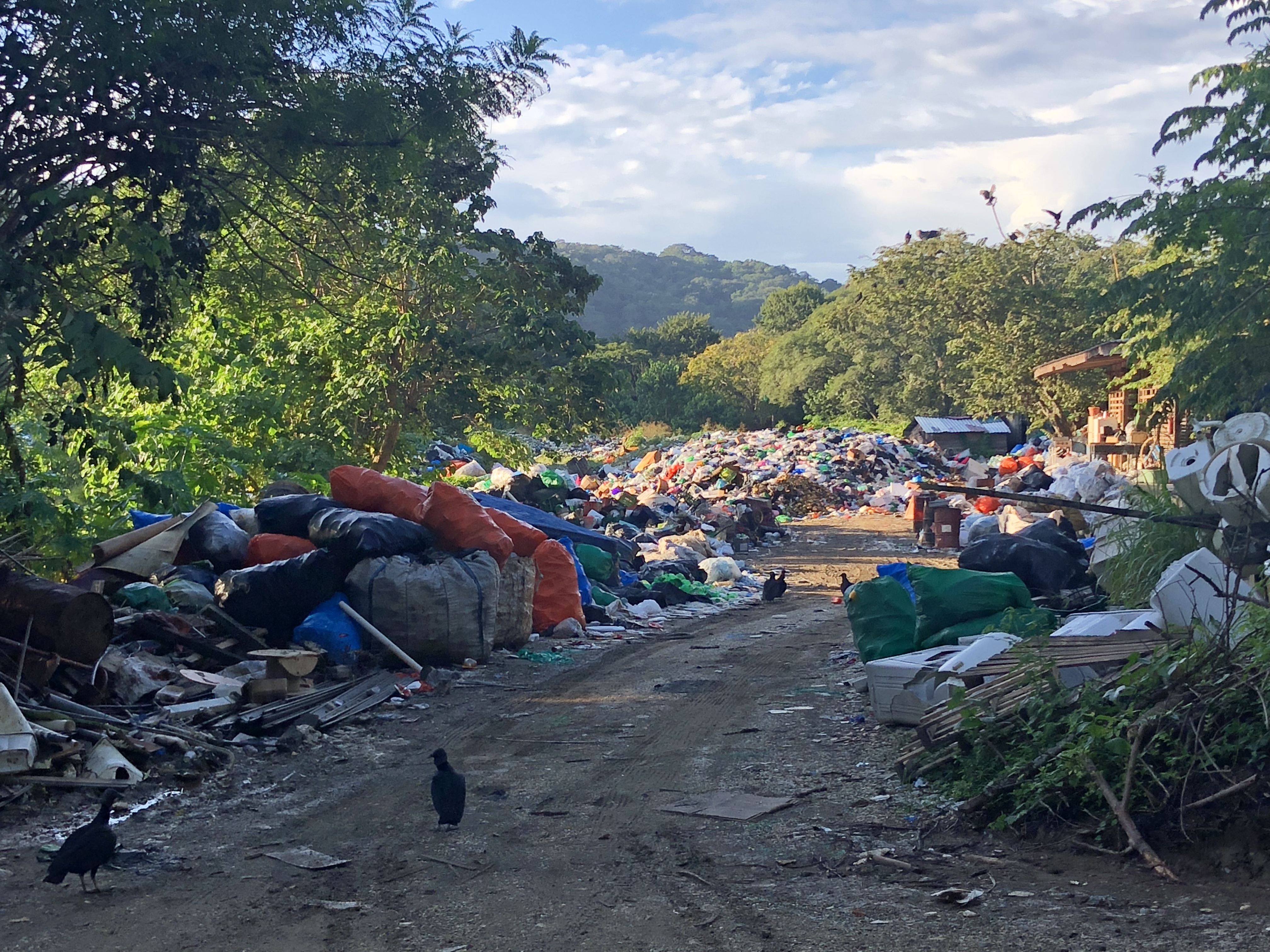 NP #5: Nosara Recicla is asking for some help ASAP from Nosara residents