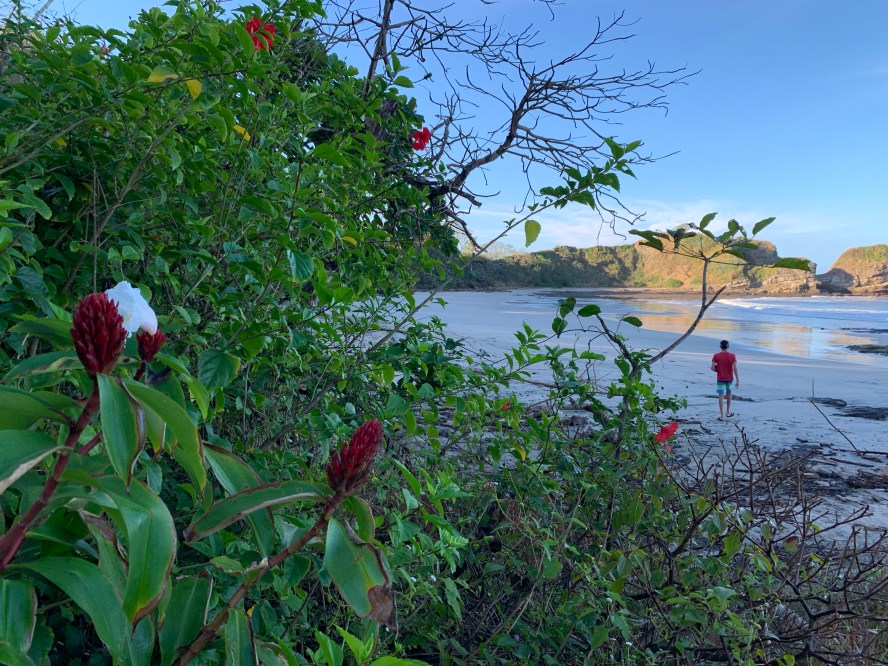 Walking with Elisha from Playa Pelada to Playa Guiones; late November 2020
