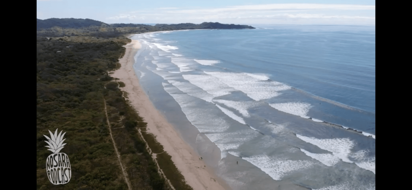 NP #150: Dr. Vanessa shares challenging news about recent water quality results in Guiones & Pelada; Blames septic systems and asks for help in this Rainy Season 2022 update