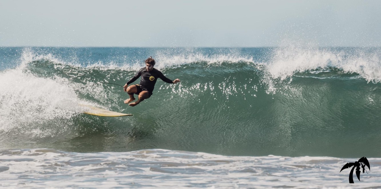 This Week In Nosara #11: Clean surf & water, News & Events, Vibert dances then flies, Covid monkey?