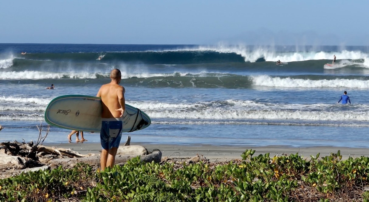 This Week In Nosara #13: Super fun surf, cows, people flying things, ASADA reminder, Main Street activity, Ostional trip & view, just a