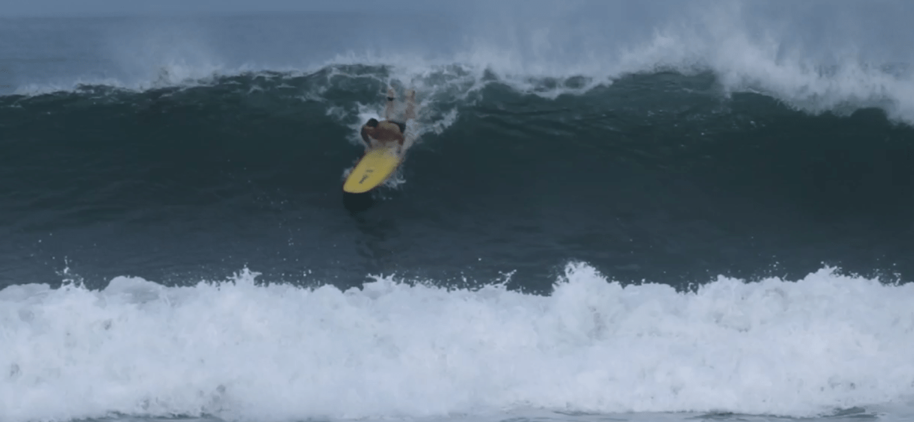 This Week In Nosara #34: Improving surf for July, Alligators in river, Community updates & more